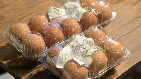 【ツボバルで平飼い卵の販売を始めました】