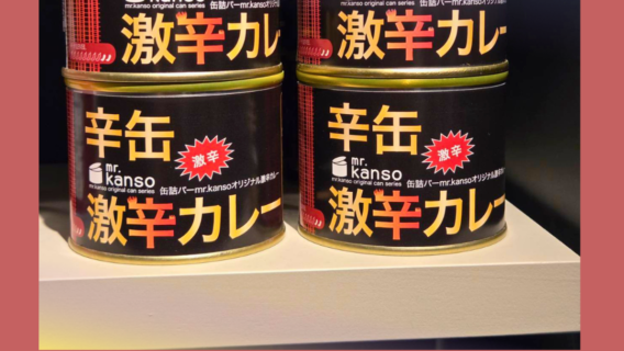 mr.kanso 激辛カレー缶